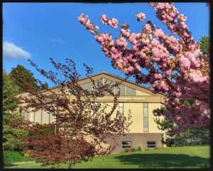 spring view of the building