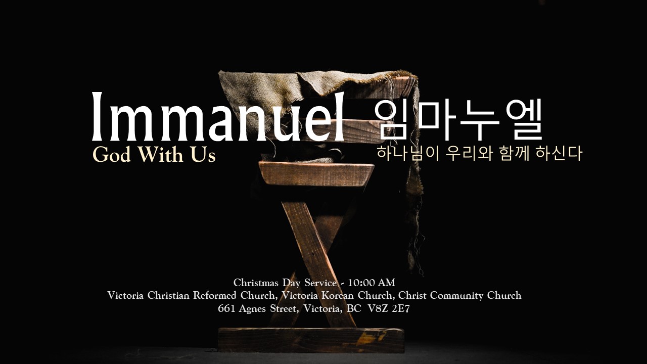 Immanuel, God with us! Nativity scene