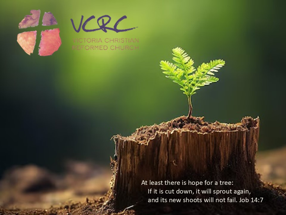 image of a new tree growing out of a stump. VCRC logo. Words of Job 14:7