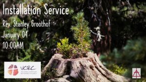 stump with shoot growing out of it